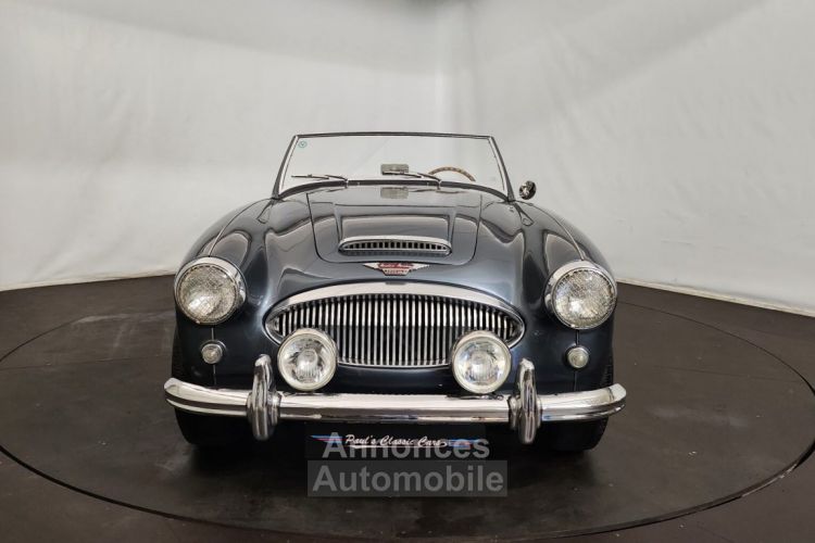 Austin Healey 3000 MK2 BT7 - <small></small> 70.000 € <small>TTC</small> - #6