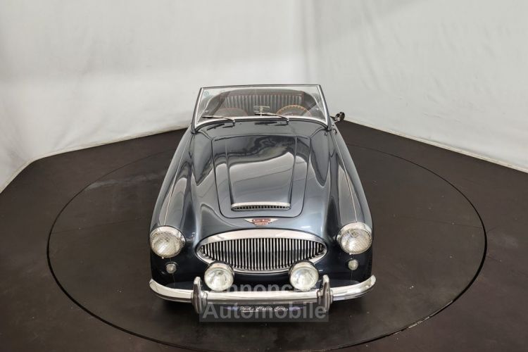 Austin Healey 3000 MK2 BT7 - <small></small> 70.000 € <small>TTC</small> - #7