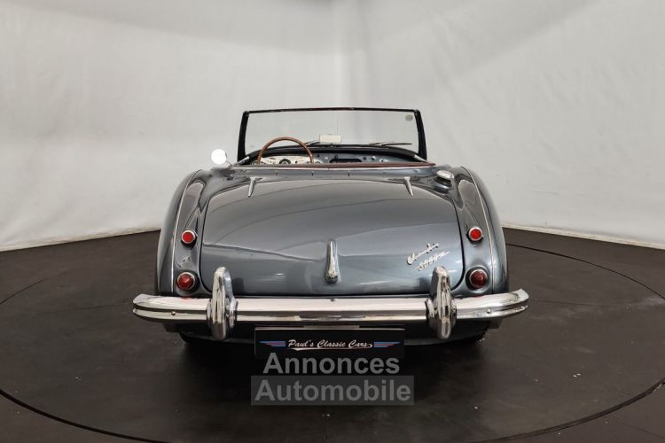 Austin Healey 3000 MK2 BT7 - <small></small> 70.000 € <small>TTC</small> - #13