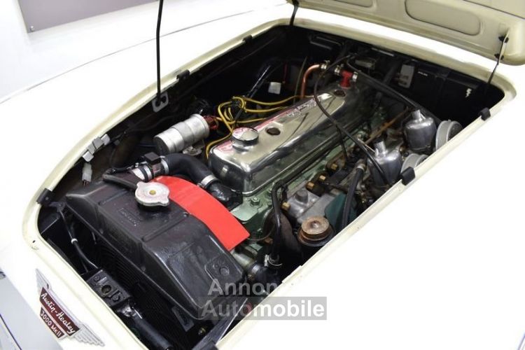 Austin Healey 3000 MKII  BJ7 - <small></small> 57.900 € <small>TTC</small> - #42