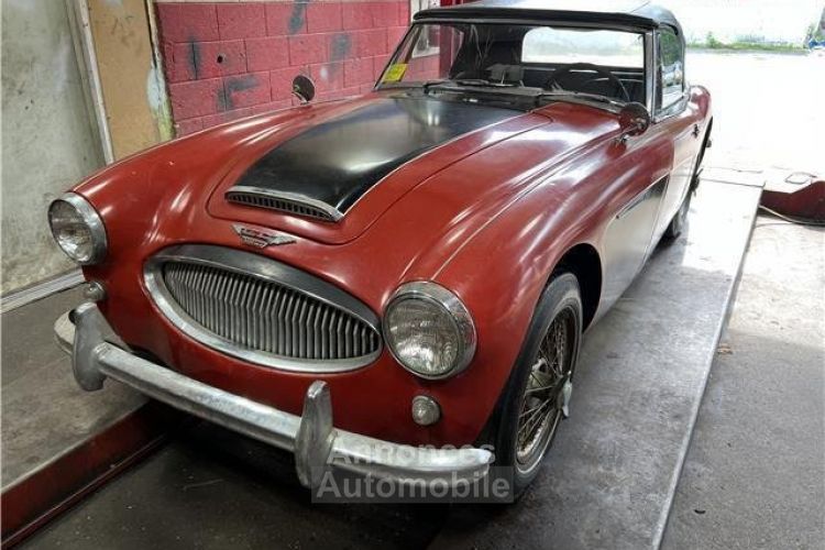 Austin Healey 3000 MKII BJ7  - <small></small> 27.000 € <small>TTC</small> - #3