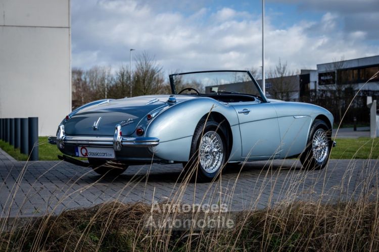 Austin Healey 3000 MKII BN7 - <small></small> 89.900 € <small>TTC</small> - #3