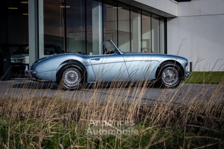 Austin Healey 3000 MKII BN7 - <small></small> 89.900 € <small>TTC</small> - #5