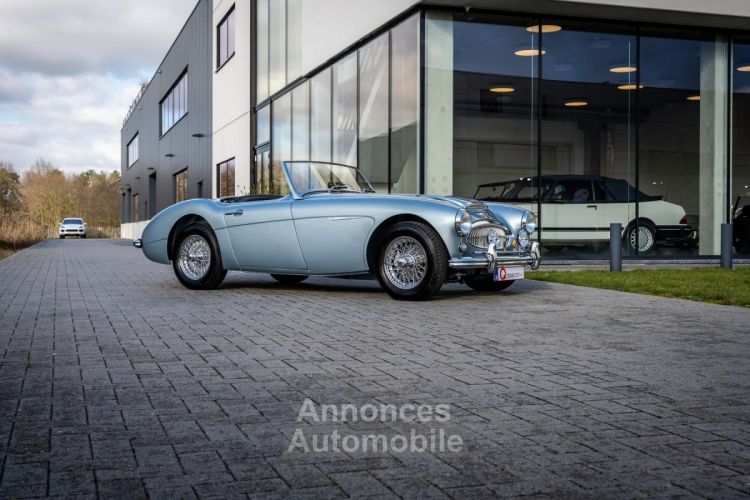 Austin Healey 3000 MKII BN7 - <small></small> 89.900 € <small>TTC</small> - #7