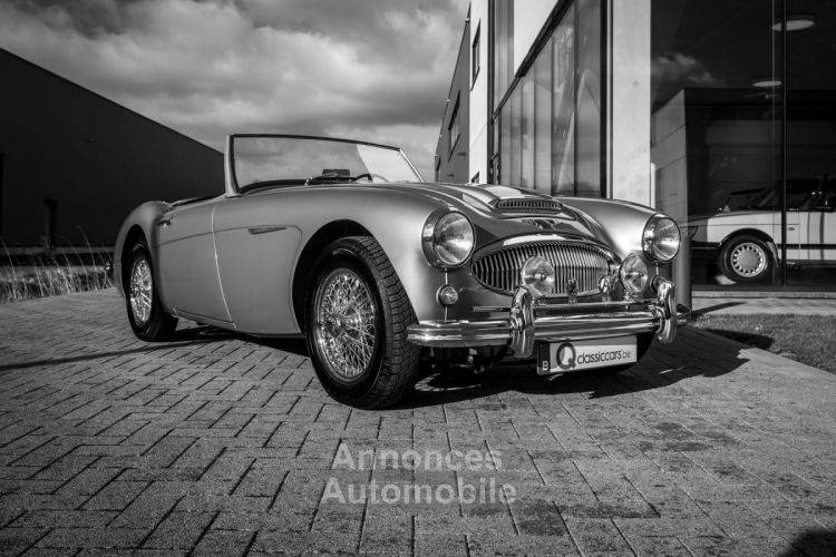 Austin Healey 3000 MKII BN7 - <small></small> 89.900 € <small>TTC</small> - #10