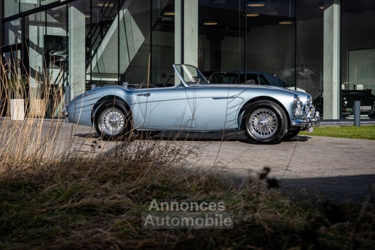 Austin Healey 3000 MKII BN7 - <small></small> 89.900 € <small>TTC</small> - #11