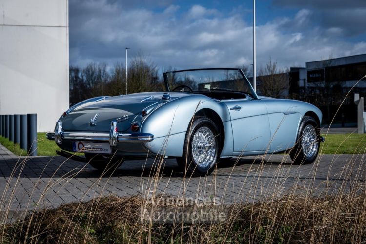 Austin Healey 3000 MKII BN7 - <small></small> 89.900 € <small>TTC</small> - #13