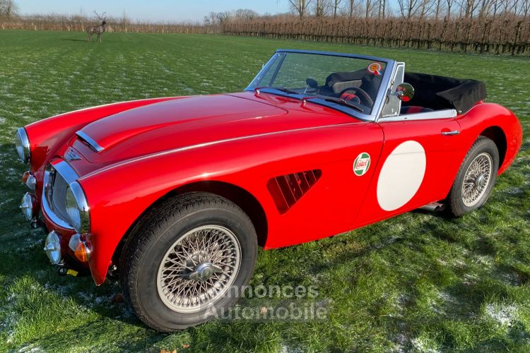 Austin Healey 3000 MKIII - BJ8 - 1967 - <small></small> 85.000 € <small>TTC</small> - #1