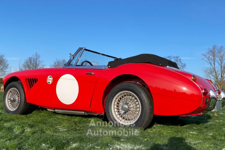 Austin Healey 3000 MKIII - BJ8 - 1967 - <small></small> 85.000 € <small>TTC</small> - #2