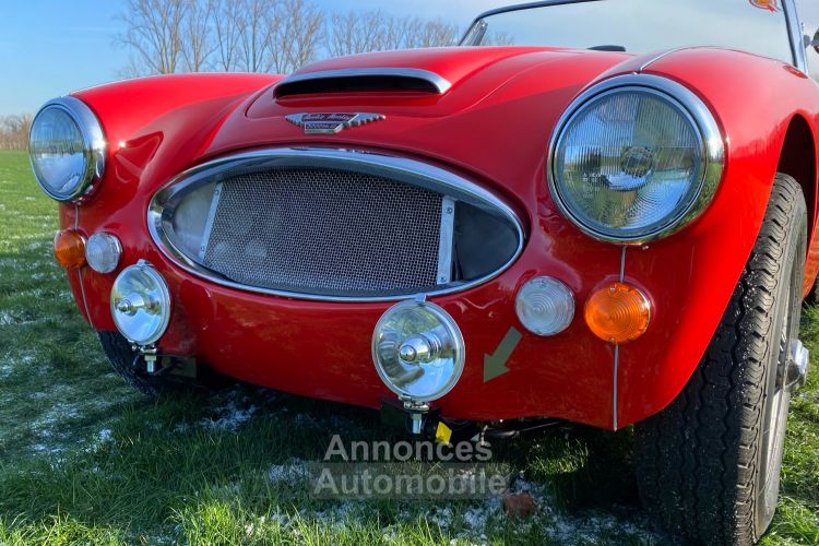 Austin Healey 3000 MKIII - BJ8 - 1967 - <small></small> 85.000 € <small>TTC</small> - #3