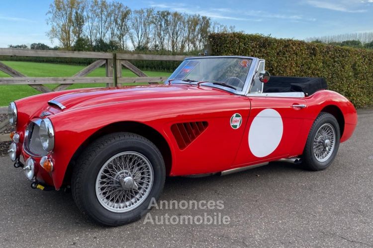 Austin Healey 3000 MKIII - BJ8 - 1967 - <small></small> 85.000 € <small>TTC</small> - #13