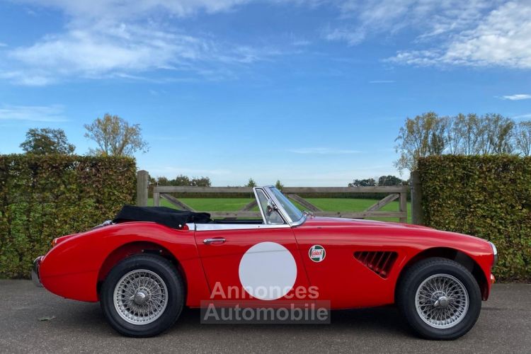 Austin Healey 3000 MKIII - BJ8 - 1967 - <small></small> 85.000 € <small>TTC</small> - #14