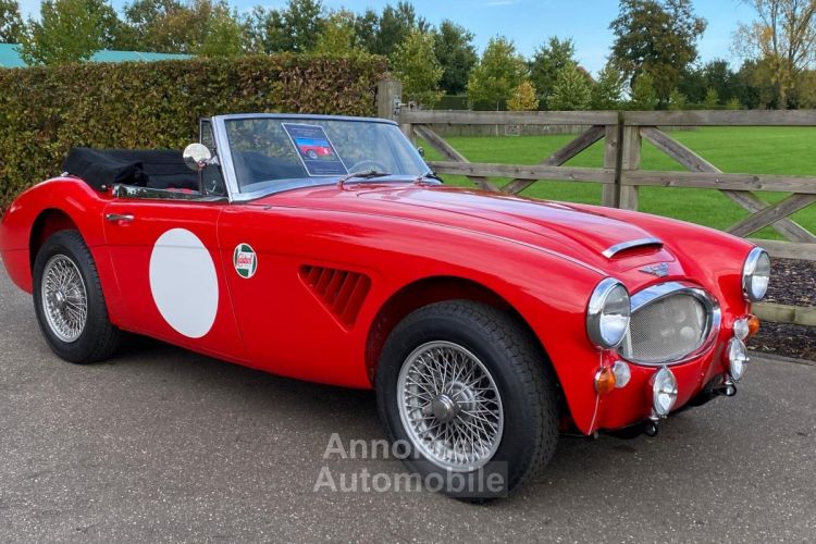 Austin Healey 3000 MKIII - BJ8 - 1967 - <small></small> 85.000 € <small>TTC</small> - #15