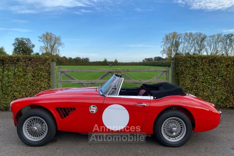 Austin Healey 3000 MKIII - BJ8 - 1967 - <small></small> 85.000 € <small>TTC</small> - #18