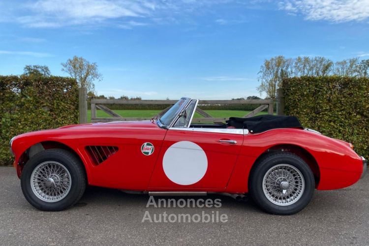 Austin Healey 3000 MKIII - BJ8 - 1967 - <small></small> 85.000 € <small>TTC</small> - #19