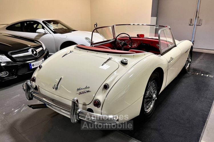 Austin Healey 3000 ROADSTER BT7 MK I 2.9 - <small></small> 60.000 € <small>TTC</small> - #4