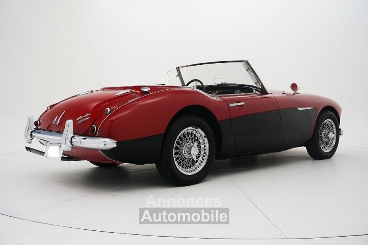 Austin Healey 3000 SYLC EXPORT - <small></small> 49.900 € <small>TTC</small> - #5