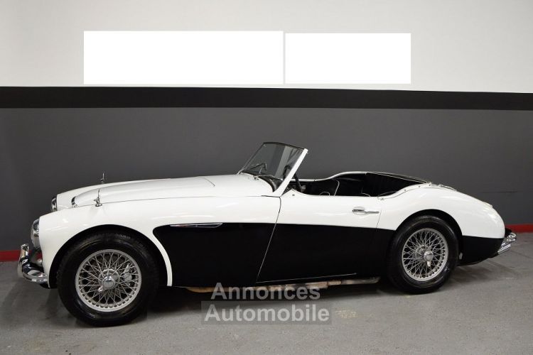 Austin Healey 3000 SYLC EXPORT - <small></small> 45.000 € <small>TTC</small> - #3