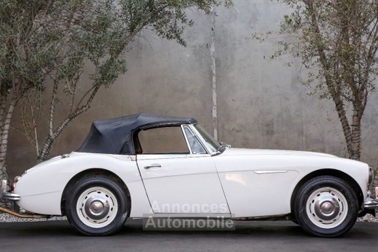 Austin Healey 3000 SYLC EXPORT - <small></small> 43.000 € <small>TTC</small> - #5