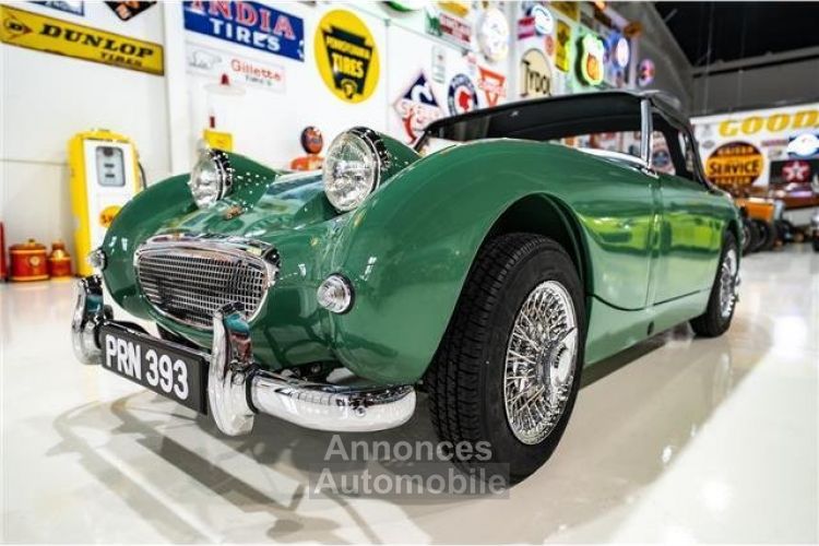 Austin Healey Sprite - <small></small> 41.000 € <small>TTC</small> - #1