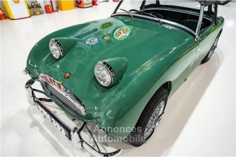 Austin Healey Sprite - <small></small> 41.000 € <small>TTC</small> - #10