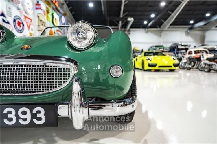 Austin Healey Sprite - <small></small> 41.000 € <small>TTC</small> - #17