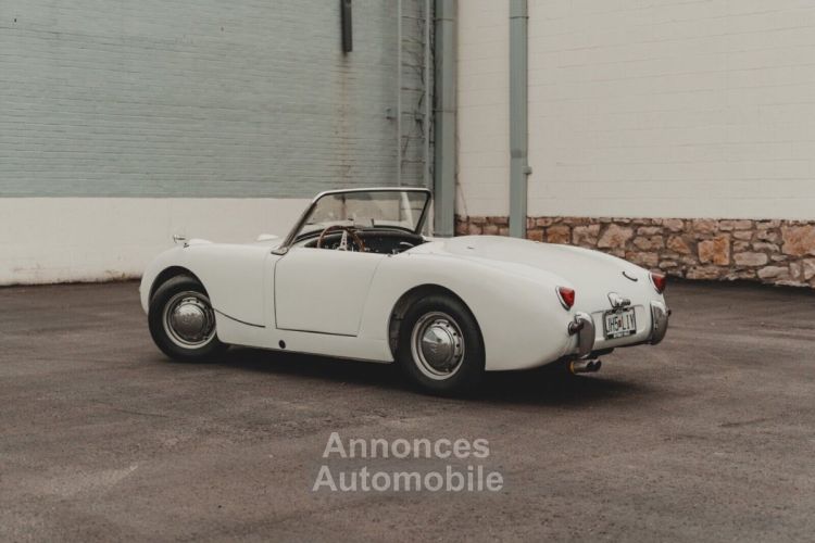 Austin Healey Sprite - <small></small> 26.000 € <small>TTC</small> - #14