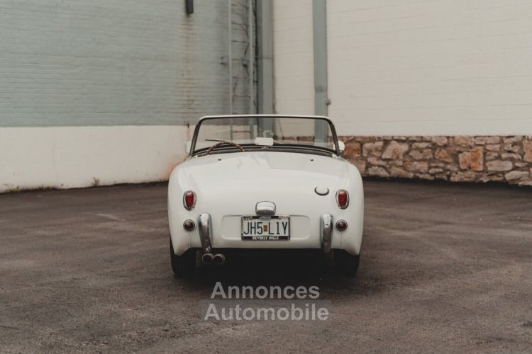 Austin Healey Sprite - <small></small> 26.000 € <small>TTC</small> - #15