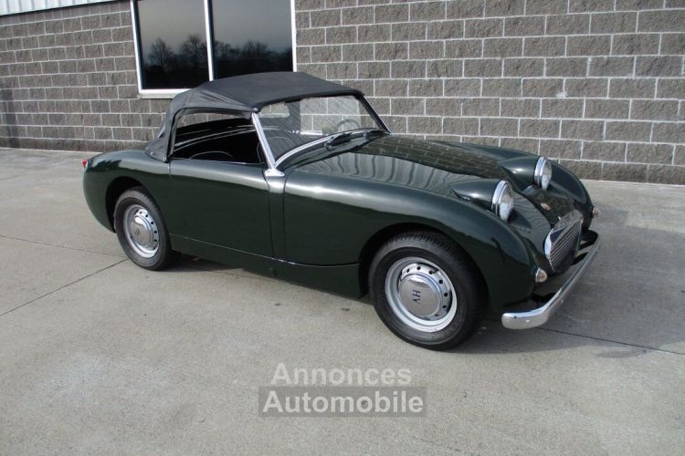 Austin Healey Sprite Bugeye  - <small></small> 31.300 € <small>TTC</small> - #1