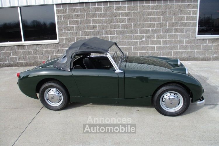 Austin Healey Sprite Bugeye  - <small></small> 31.300 € <small>TTC</small> - #4