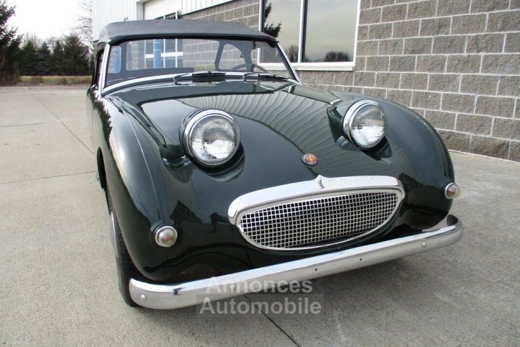 Austin Healey Sprite Bugeye  - <small></small> 31.300 € <small>TTC</small> - #6