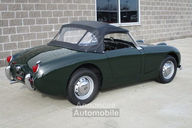 Austin Healey Sprite Bugeye  - <small></small> 31.300 € <small>TTC</small> - #7