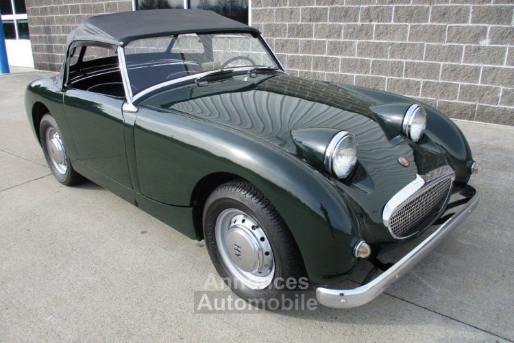 Austin Healey Sprite Bugeye  - <small></small> 31.300 € <small>TTC</small> - #10