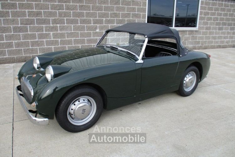 Austin Healey Sprite Bugeye  - <small></small> 31.300 € <small>TTC</small> - #17