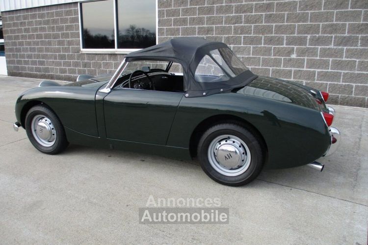 Austin Healey Sprite Bugeye  - <small></small> 31.300 € <small>TTC</small> - #27