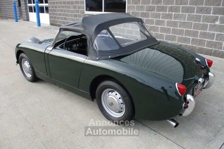 Austin Healey Sprite Bugeye  - <small></small> 31.300 € <small>TTC</small> - #28