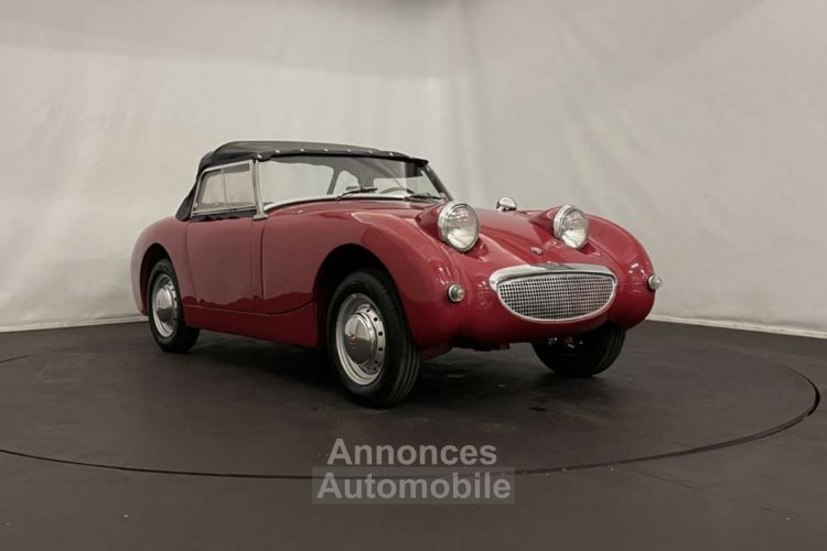 Austin Healey Sprite Frogeye MK1 - <small></small> 21.500 € <small>TTC</small> - #3