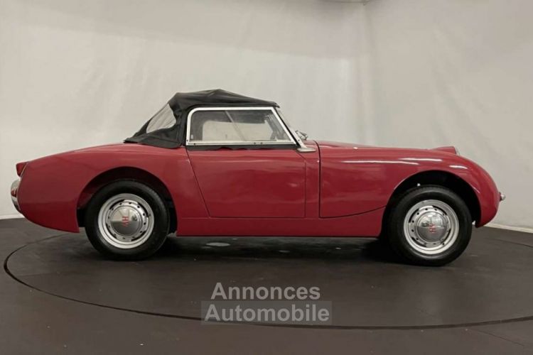 Austin Healey Sprite Frogeye MK1 - <small></small> 21.500 € <small>TTC</small> - #16