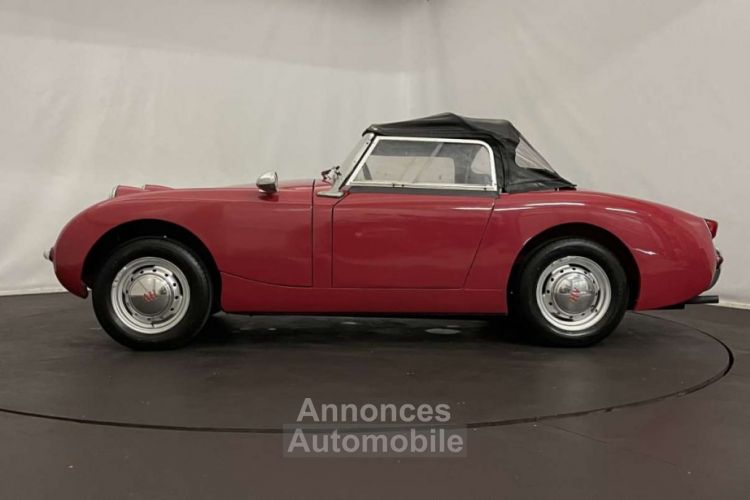 Austin Healey Sprite Frogeye MK1 - <small></small> 21.500 € <small>TTC</small> - #21