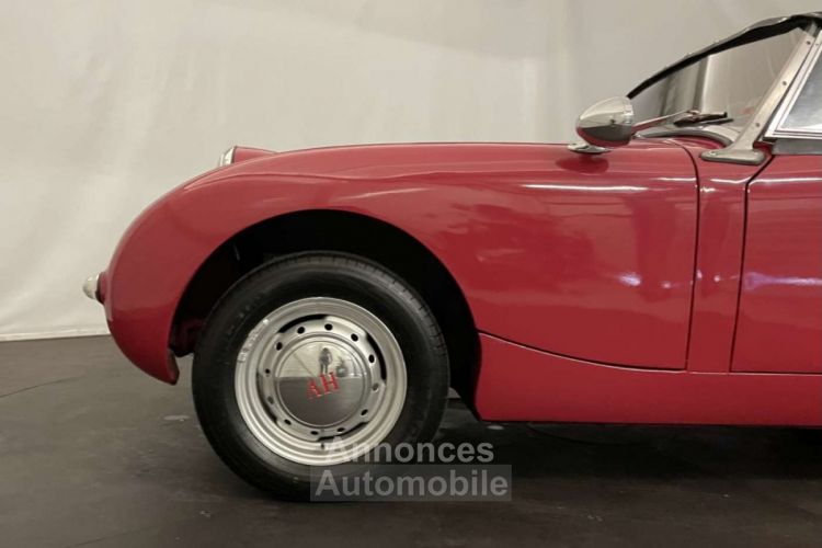 Austin Healey Sprite Frogeye MK1 - <small></small> 21.500 € <small>TTC</small> - #22