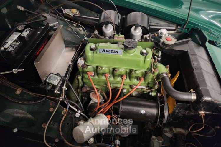 Austin Healey Sprite MK III - <small></small> 19.900 € <small>TTC</small> - #46