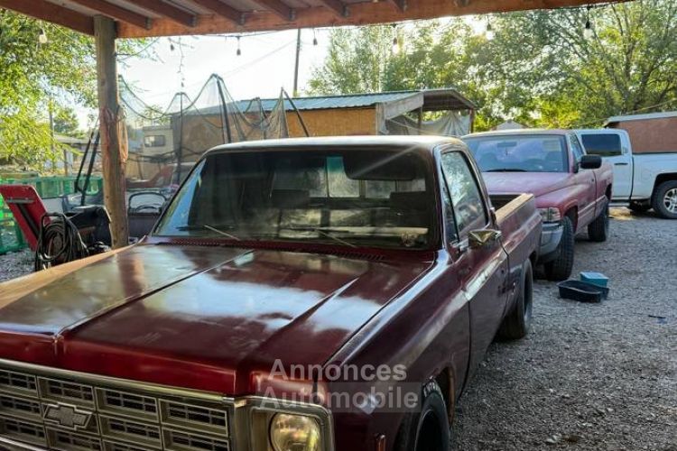 Chevrolet C10 - <small></small> 22.000 € <small>TTC</small> - #5