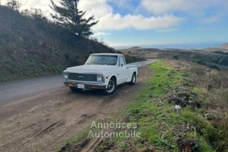 Chevrolet C10 - <small></small> 30.000 € <small>TTC</small> - #3