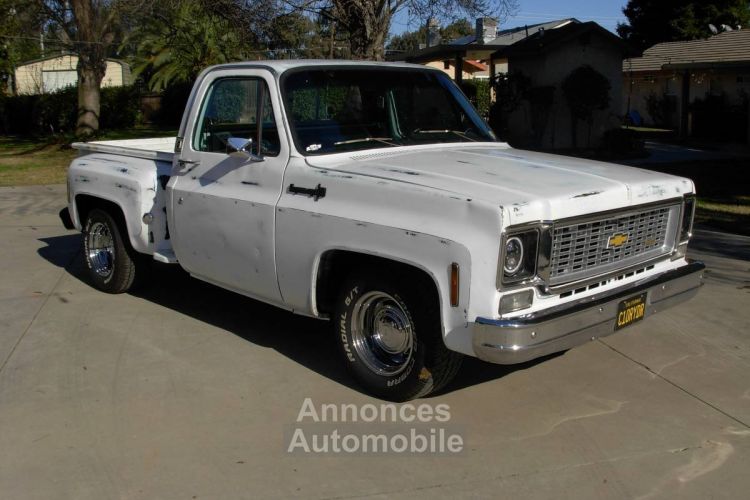 Chevrolet C10 - <small></small> 31.000 € <small>TTC</small> - #1