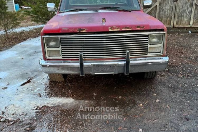 Chevrolet C10 - <small></small> 20.000 € <small>TTC</small> - #2