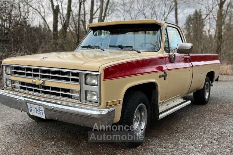 Chevrolet C10 - <small></small> 18.800 € <small>TTC</small> - #1