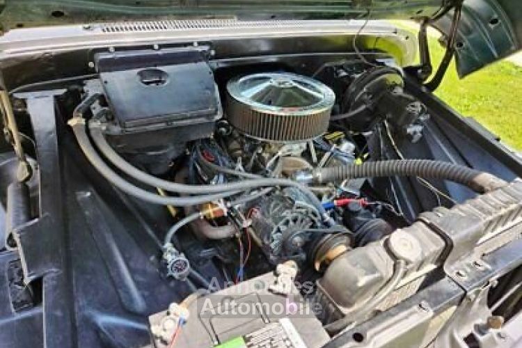 Chevrolet C10 C-10  - <small></small> 34.000 € <small>TTC</small> - #5