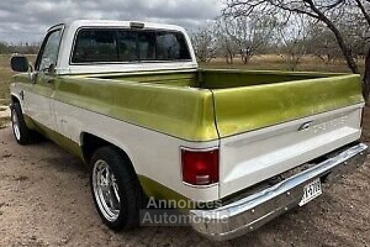 Chevrolet C10 C-10  - <small></small> 24.000 € <small>TTC</small> - #2