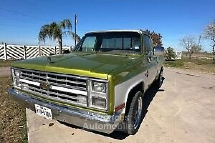 Chevrolet C10 C-10  - <small></small> 24.000 € <small>TTC</small> - #9