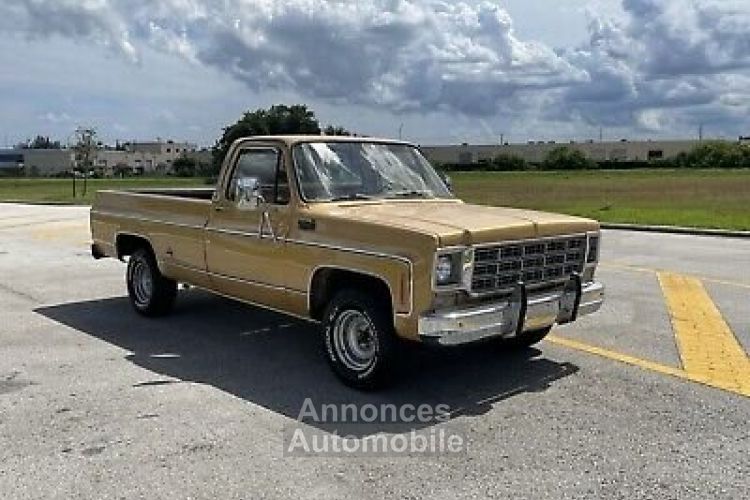 Chevrolet C10 C-10  - <small></small> 18.000 € <small>TTC</small> - #2